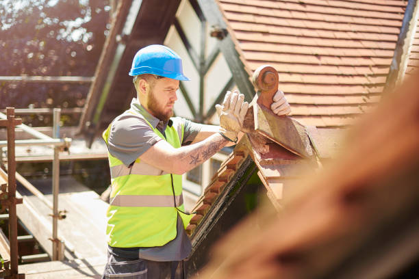 Best Gutter Installation and Roofing  in Woxall, PA